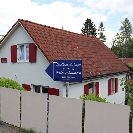 Wohnung #5 mit Balkon - zentrale dennoch ruhige Lage mit Terrasse - Stadtbus vor der Tür! Lindau  Exterior foto